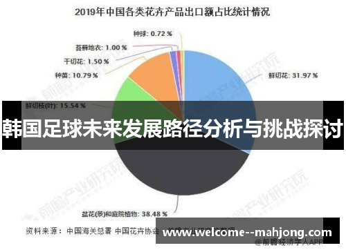 韩国足球未来发展路径分析与挑战探讨